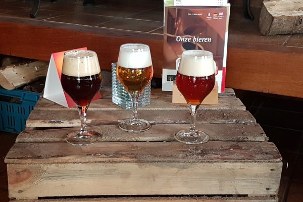 Hotel Het Witte Veen